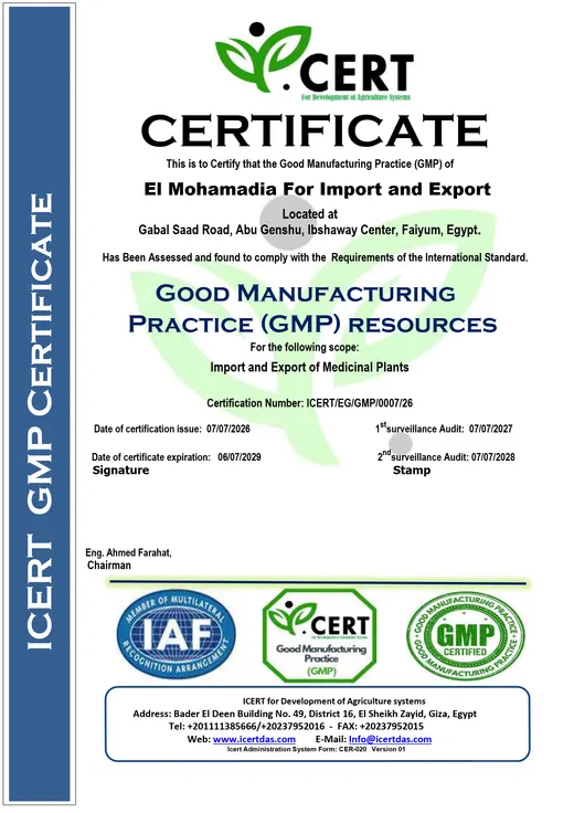 GMP — ممارسات التصنيع الجيدة