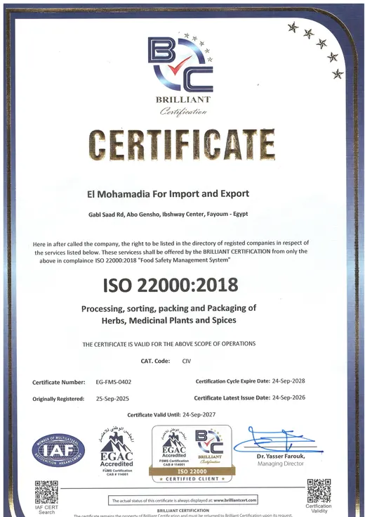 ISO 22000:2018 — نظام إدارة سلامة الغذاء
