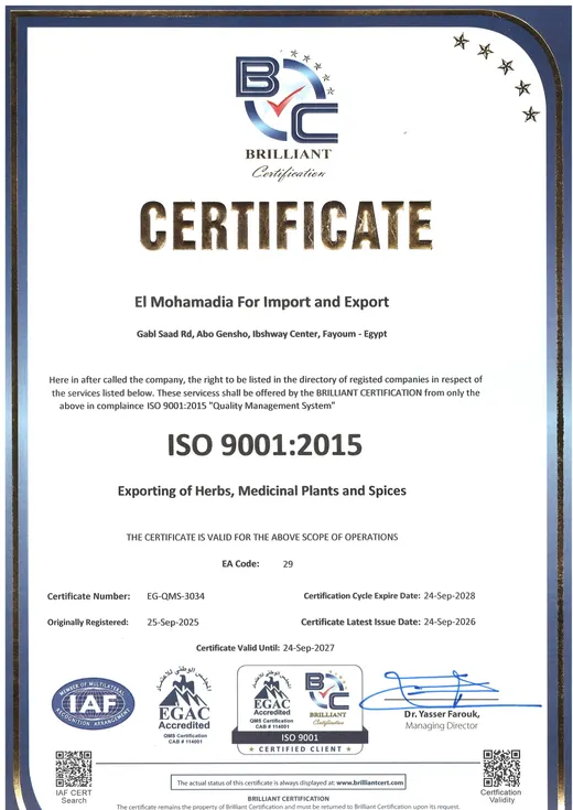 ISO 9001:2015 — نظام إدارة الجودة