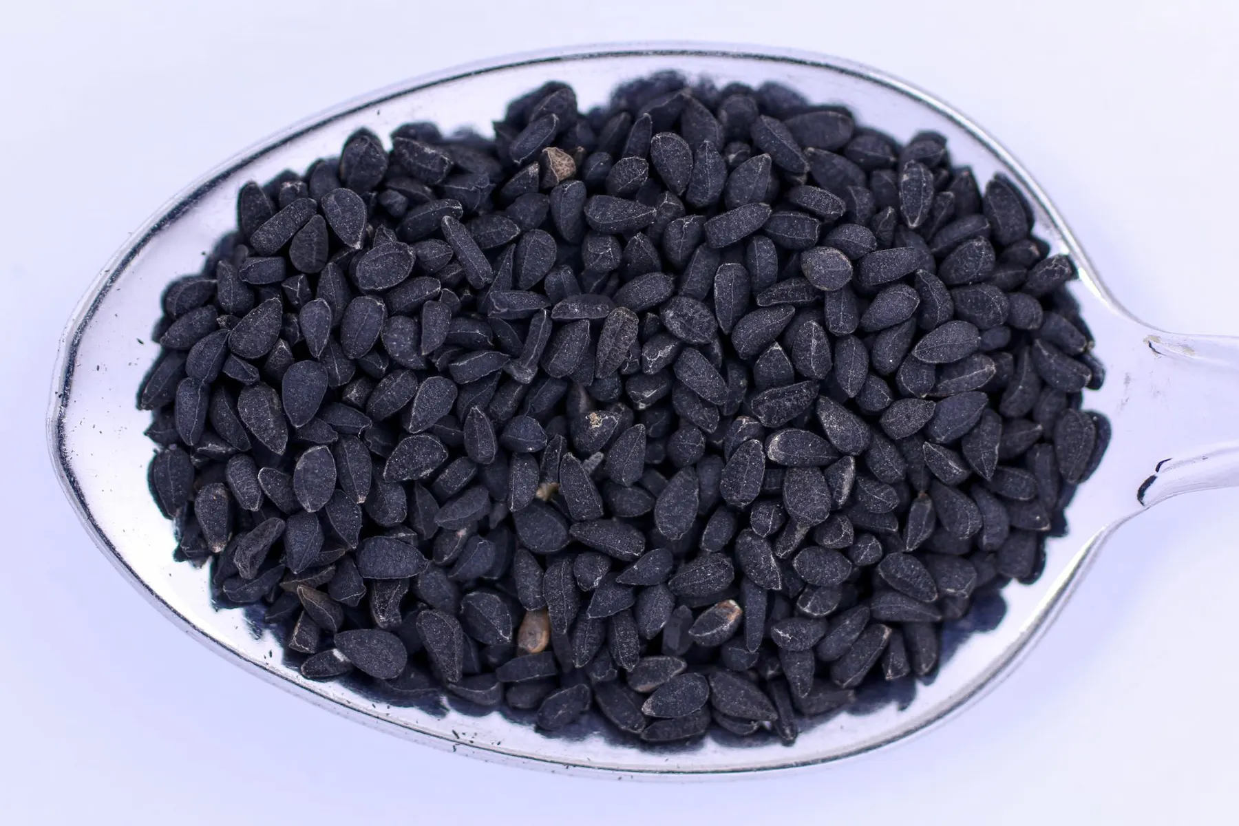 حبة البركة